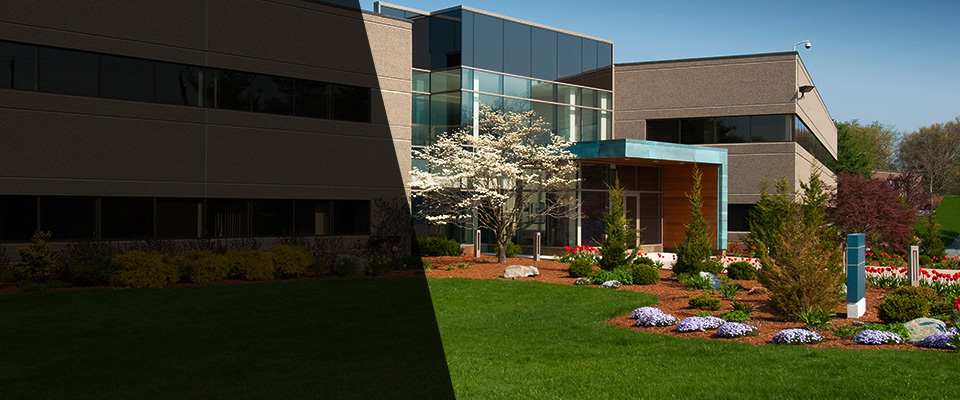 Harrisonburg Landscapers