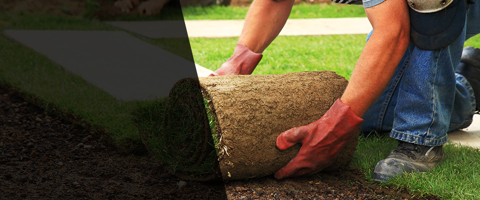 Harrisonburg Landscapers